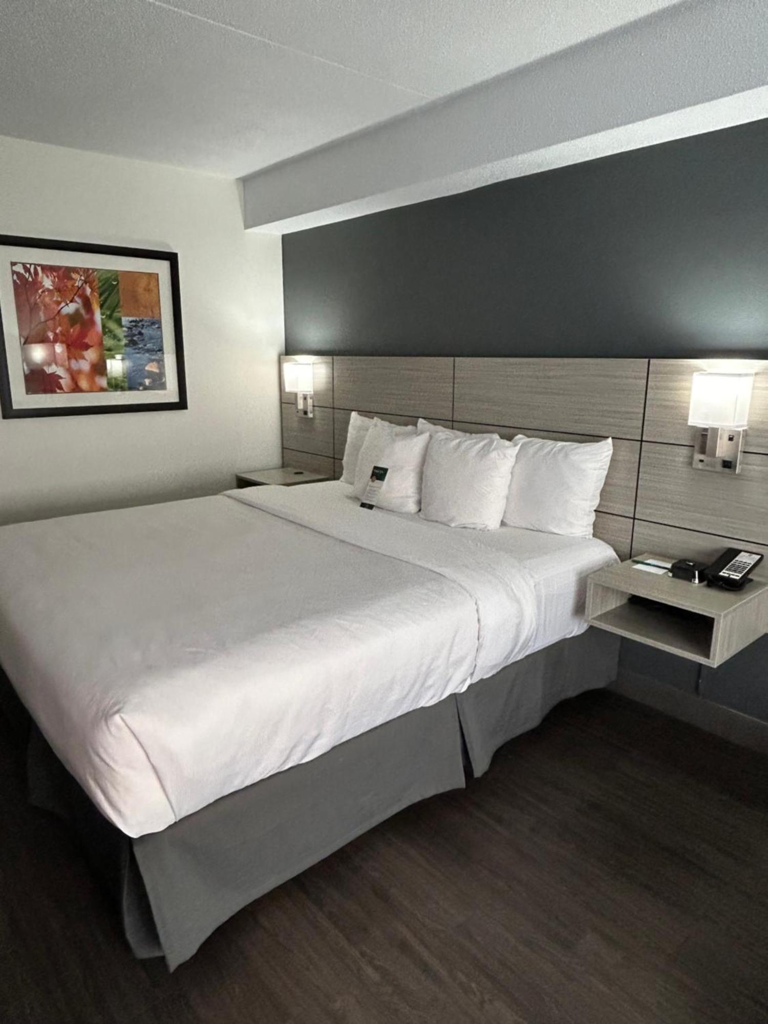 לימינגטון Quality Inn מראה חיצוני תמונה
